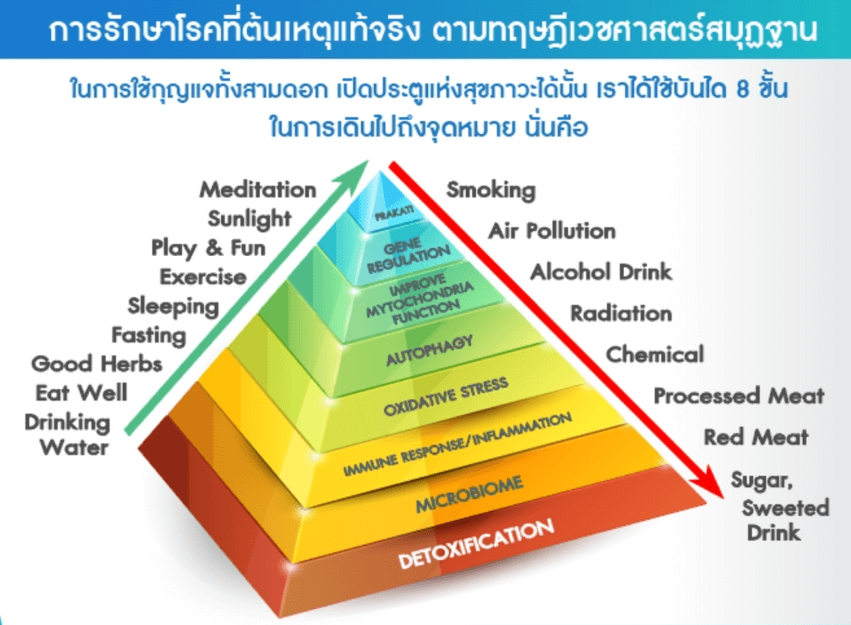 เรามีทางเลือกอื่นใหม