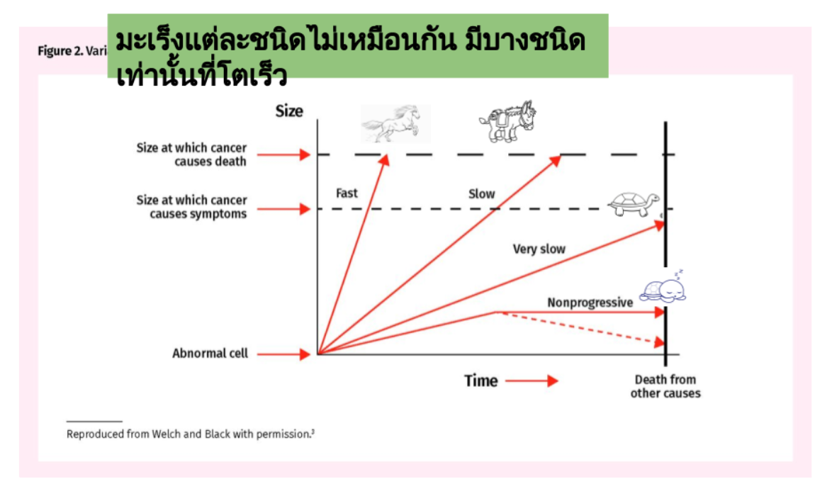 แนวทางการรักษามะเร็งของดร.ภัทร์