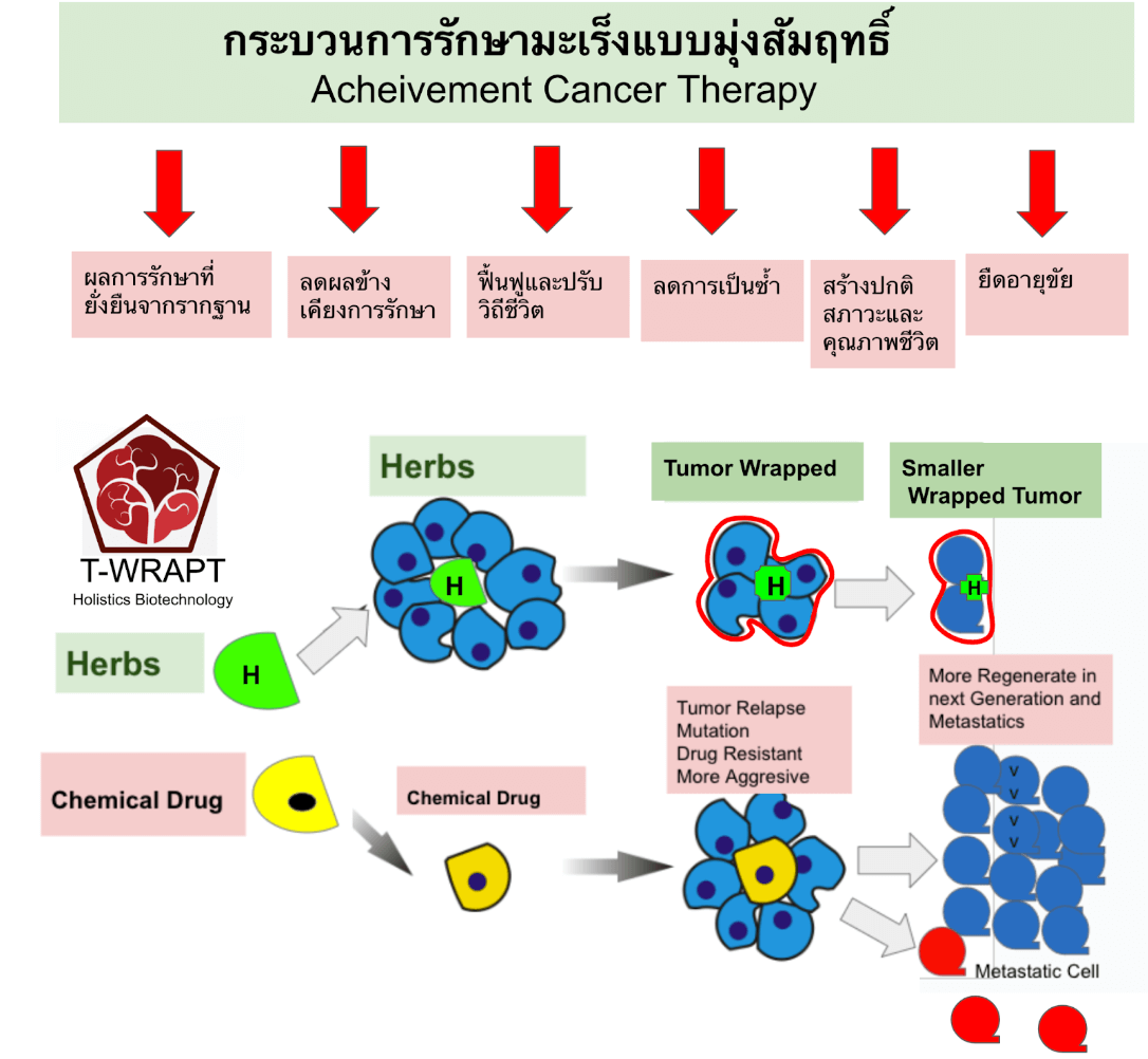 แนวทางการรักษามะเร็งของดร.ภัทร์