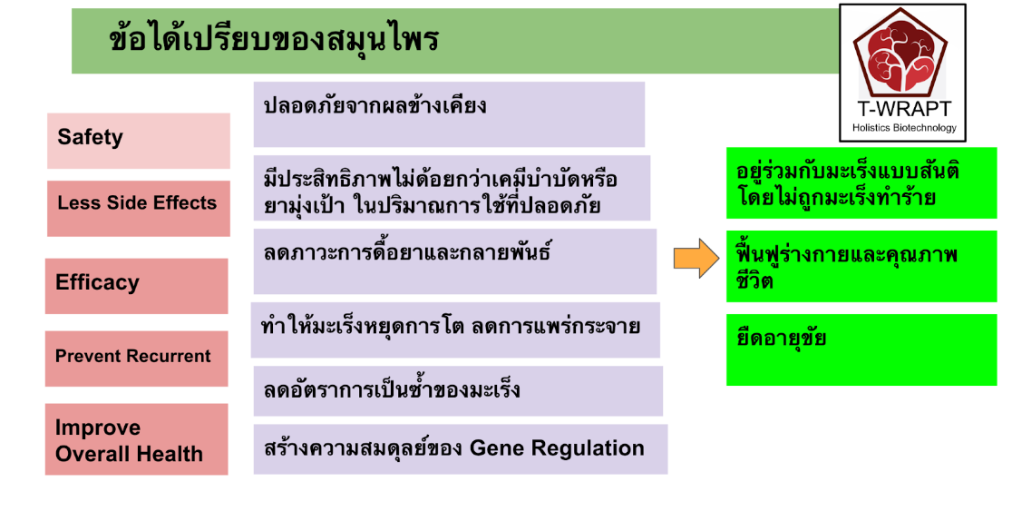 แนวทางการรักษามะเร็งของดร.ภัทร์