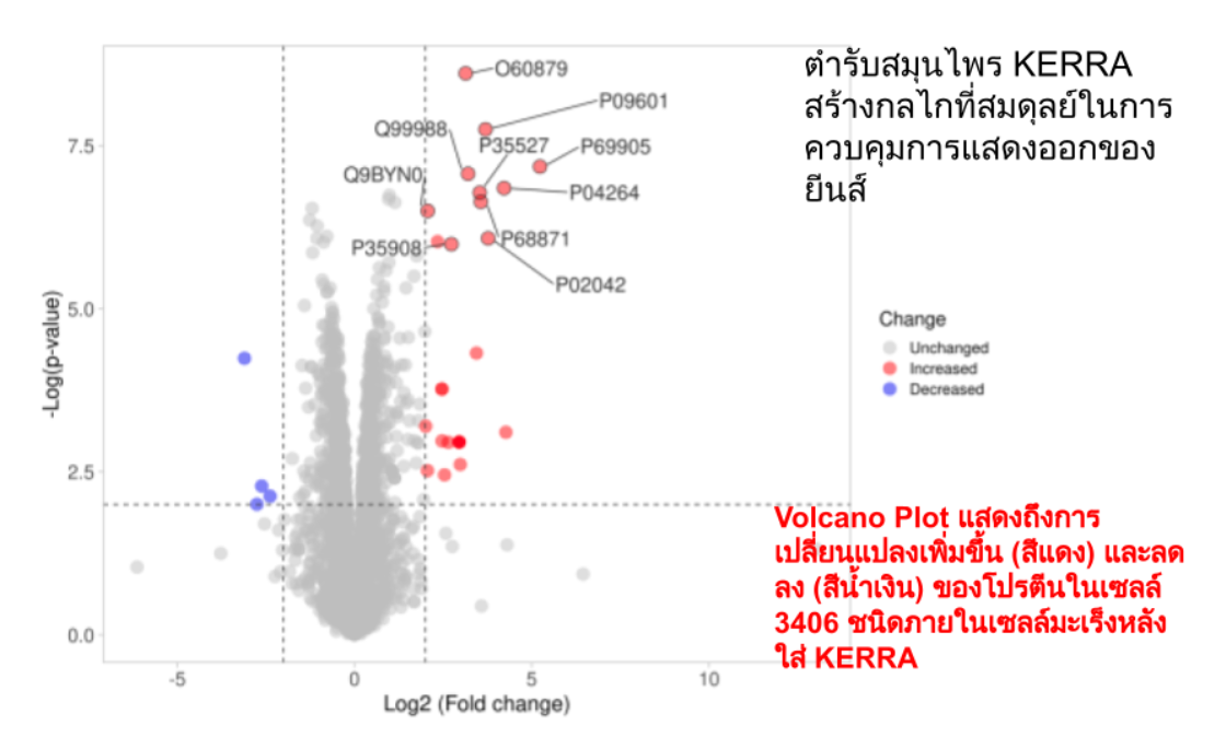 แนวทางการรักษามะเร็งของดร.ภัทร์