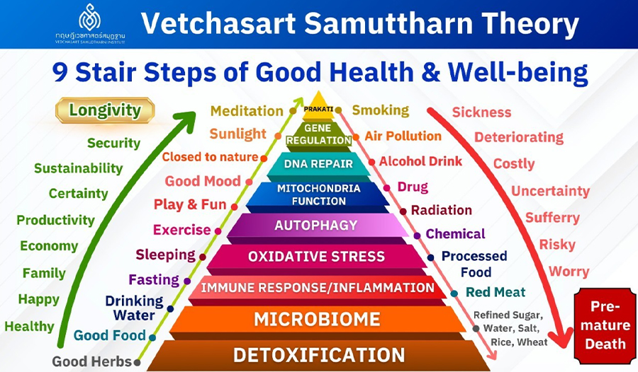 ทฤษฎีเวชศาสตร์สมุฎฐาน VSM ™